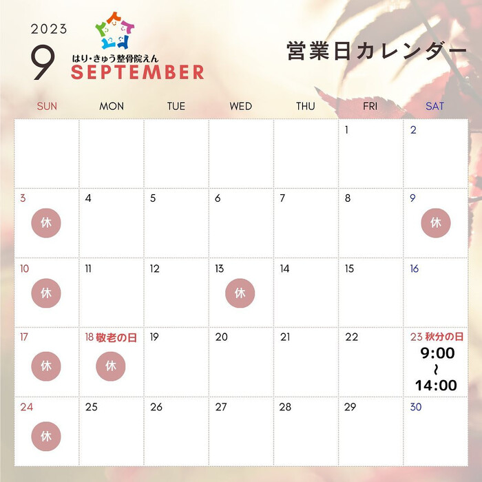 画像265
