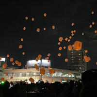 画像277